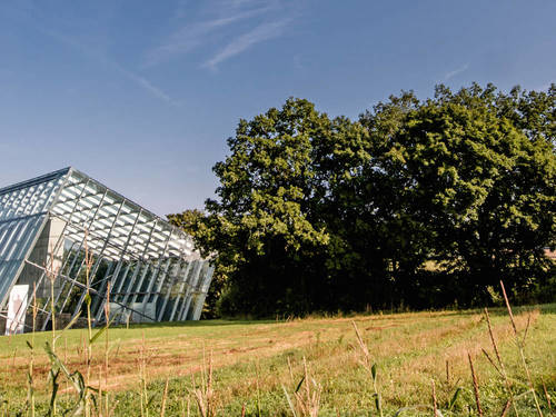 Bildergalerie 1
