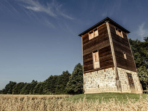 Bildergalerie 1